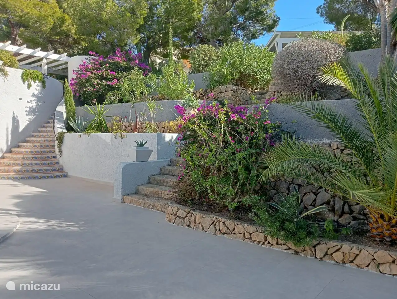 Jardin au bord de la piscine