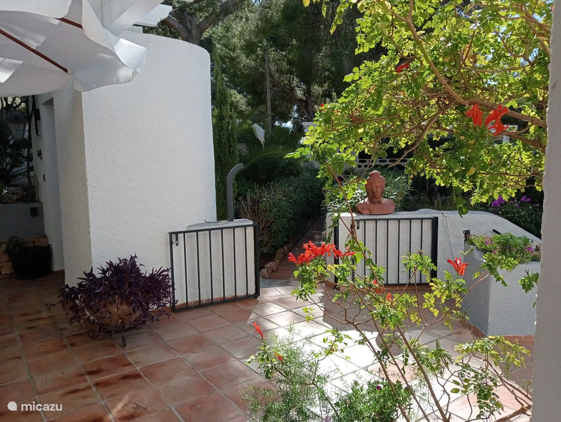 vue depuis la cuisine