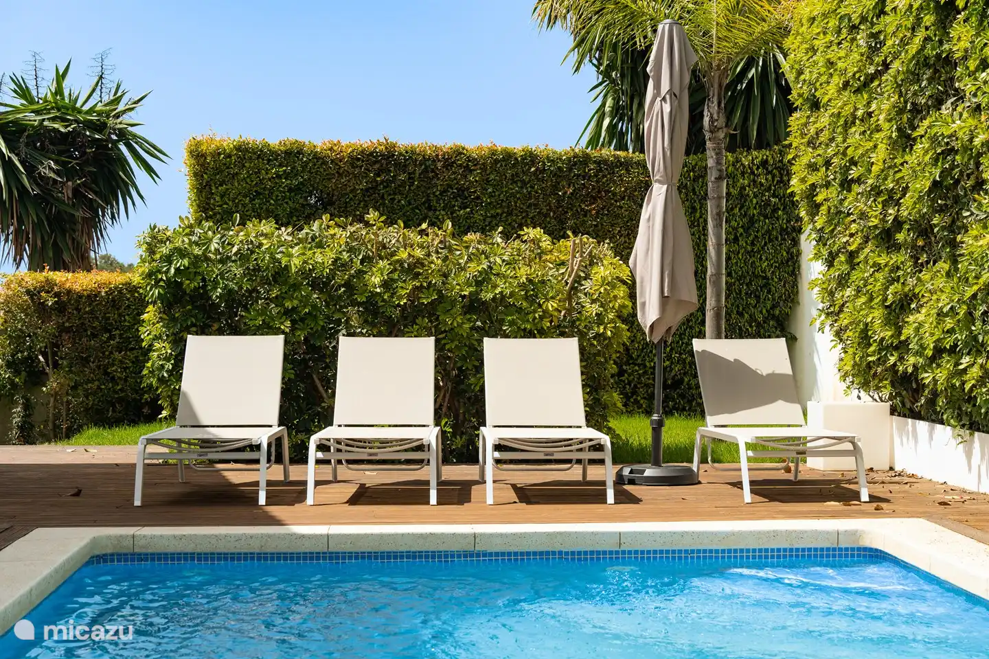 Tumbonas junto a la piscina