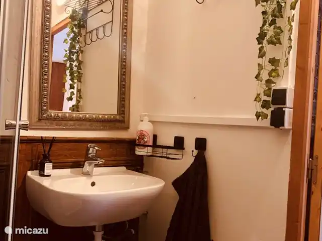 Gîte Marche | France, Haute-Saône, Vauvillers - appartement Salle de Bains