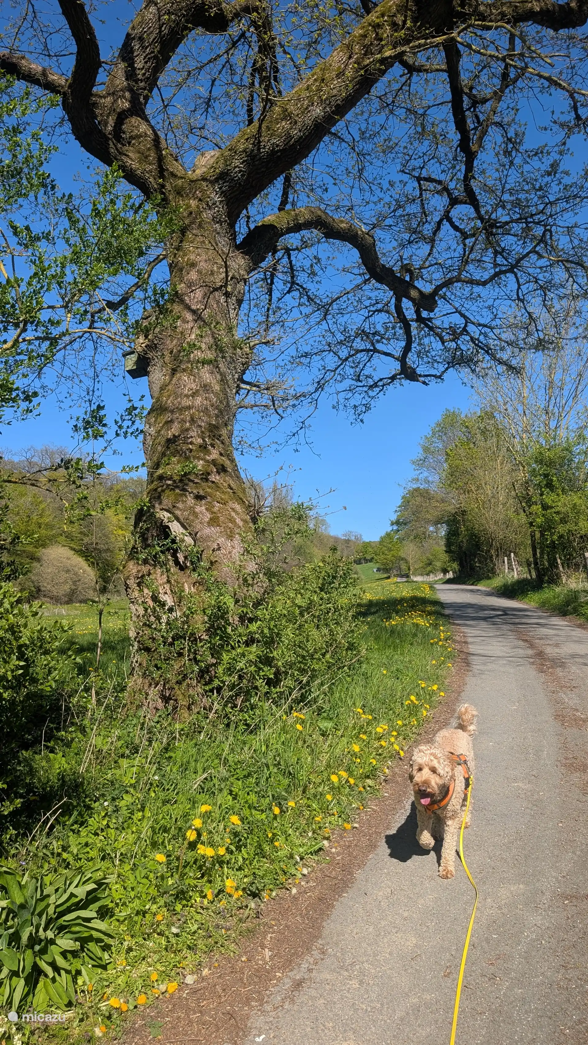 Wandelpaden beginnen zodra je de deur uit stapt. Samen genieten.