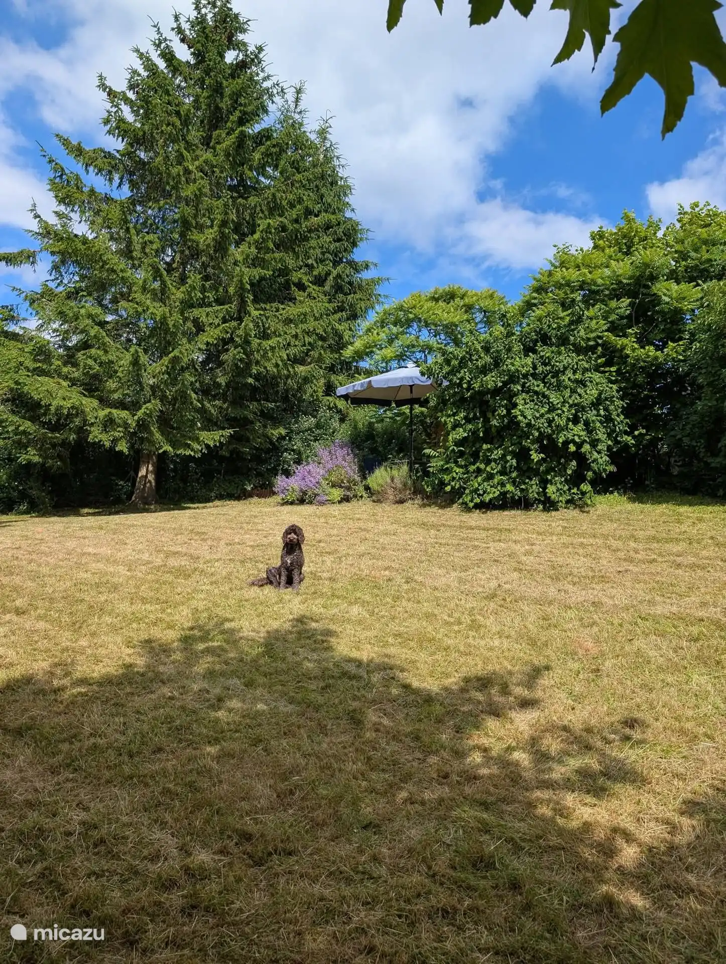 De tuin is volledig afgezet, wel zo veilig.