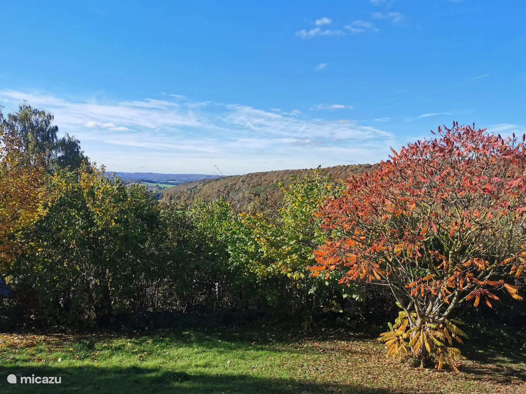 Der Garten und die Bäume wechseln ihre Farbe in allen Schattierungen. 