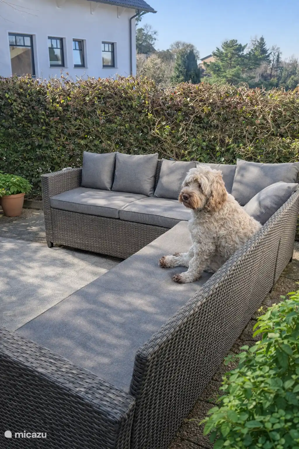 Relax on the terrace