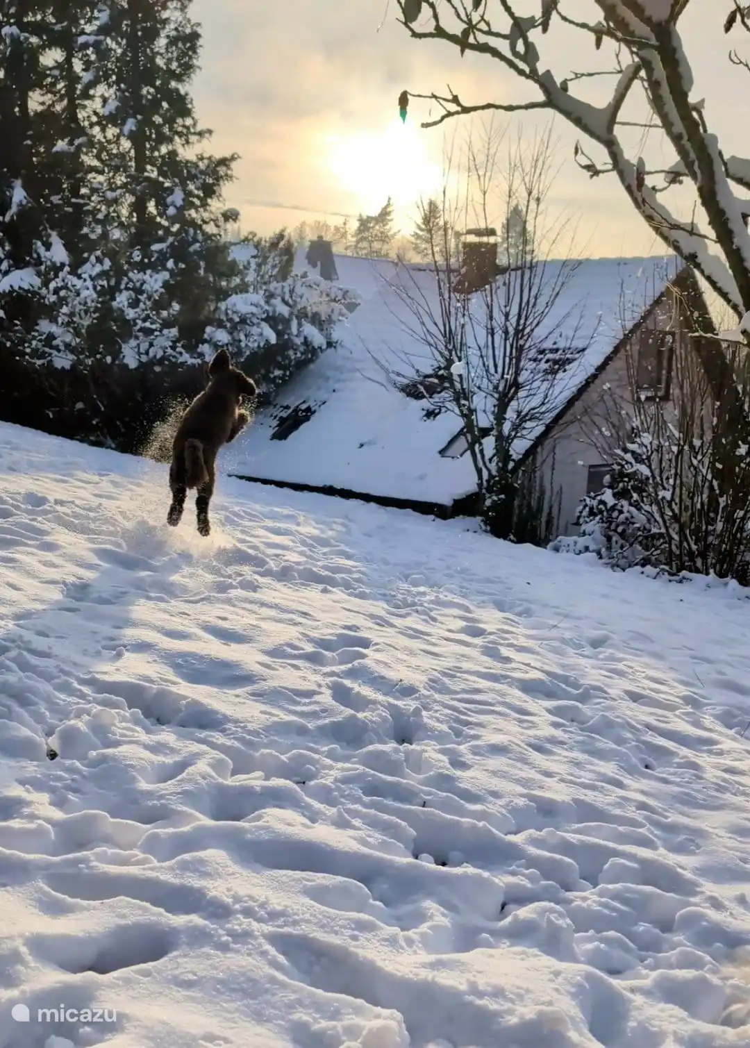 Am Brünen lässt es sich auch im Winter wunderbar verweilen. Spaß im Schnee!