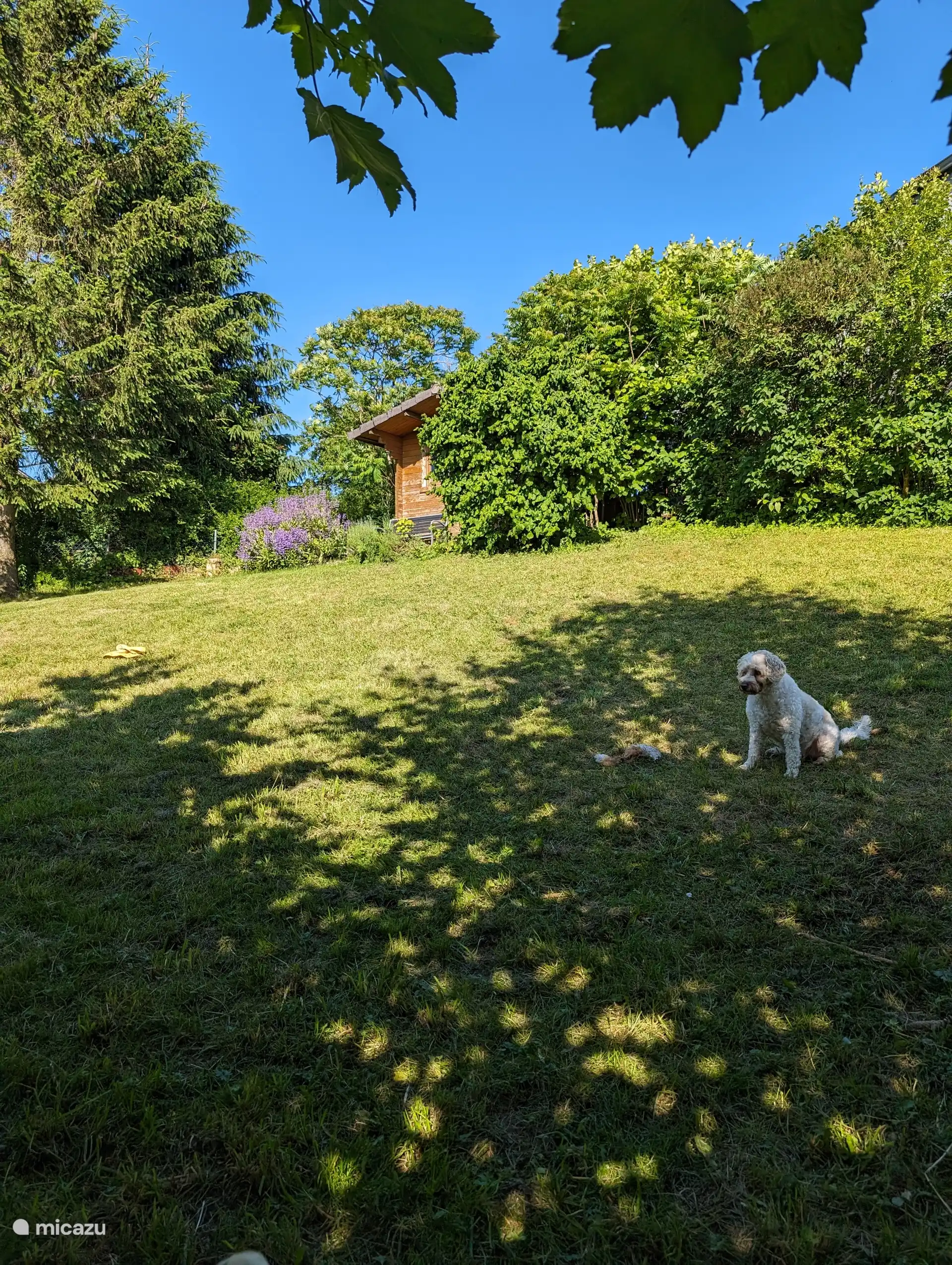 Jardín precioso, con mucho sol pero mucha sombra. Y siempre esa visión??