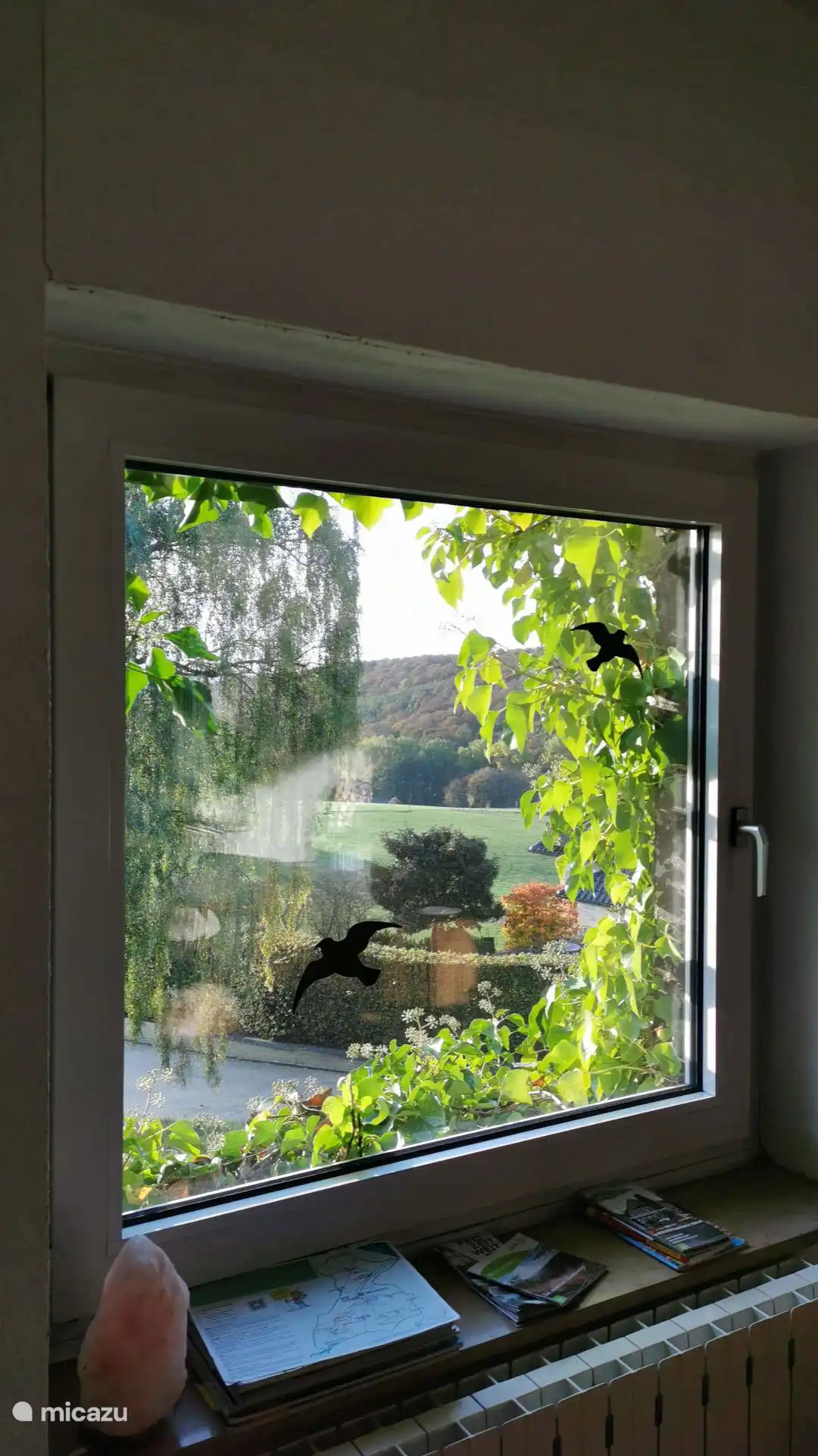 Auch im Herbst bleibt die Aussicht schön!