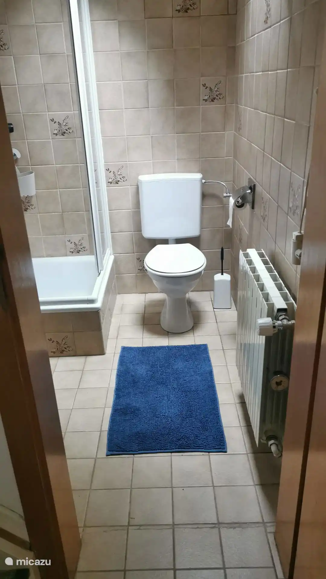 Baño con ducha y inodoro en la planta baja