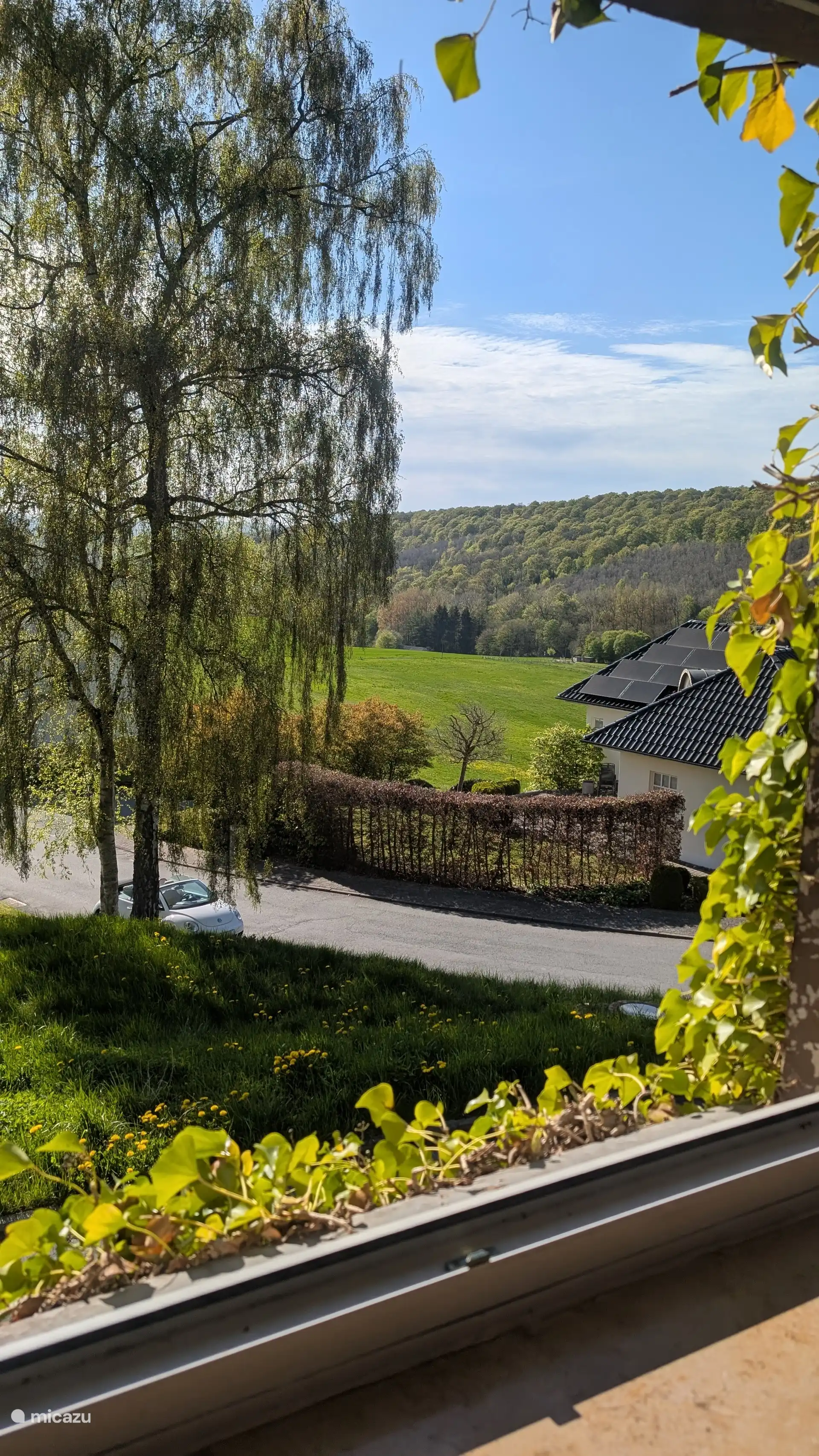 Vista desde el salón 