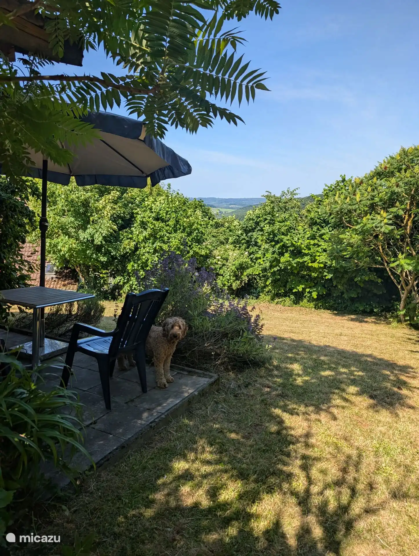 Der Garten fällt leicht ab, so dass man weit über die schöne Landschaft blicken kann. Im Sommer kann man die schönen Hügel sehen und im Winter sind sie regelmäßig mit einer frischen Schneeschicht bedeckt