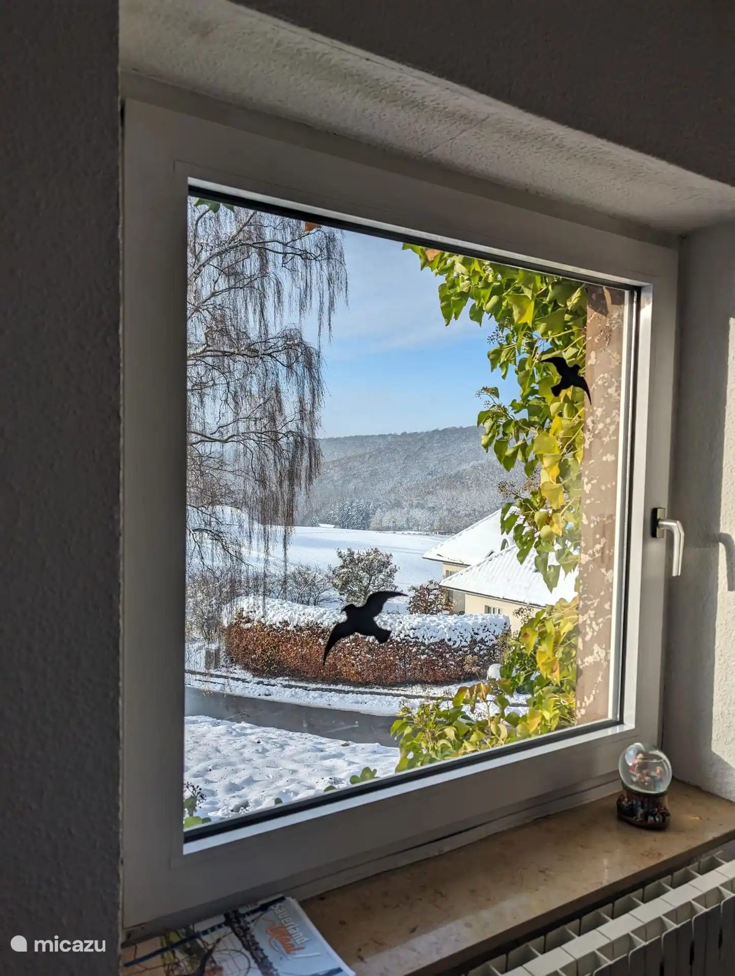 Blick aus dem Wohnzimmer. Gehen wir heute Langlaufen? ???????