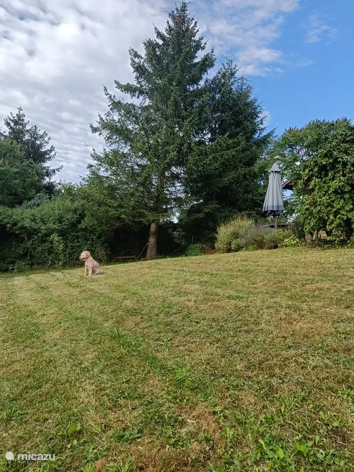 Der eingezäunte Garten fällt zu einer Terrasse mit schönem Blick auf die hügelige Landschaft ab.
