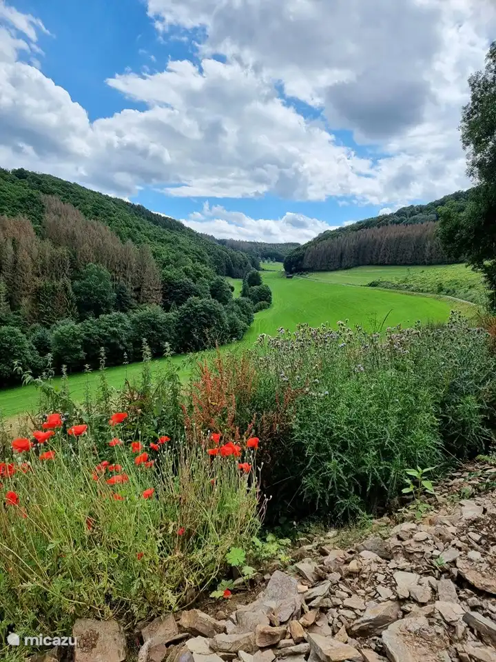 Ich liebe Sauerland!