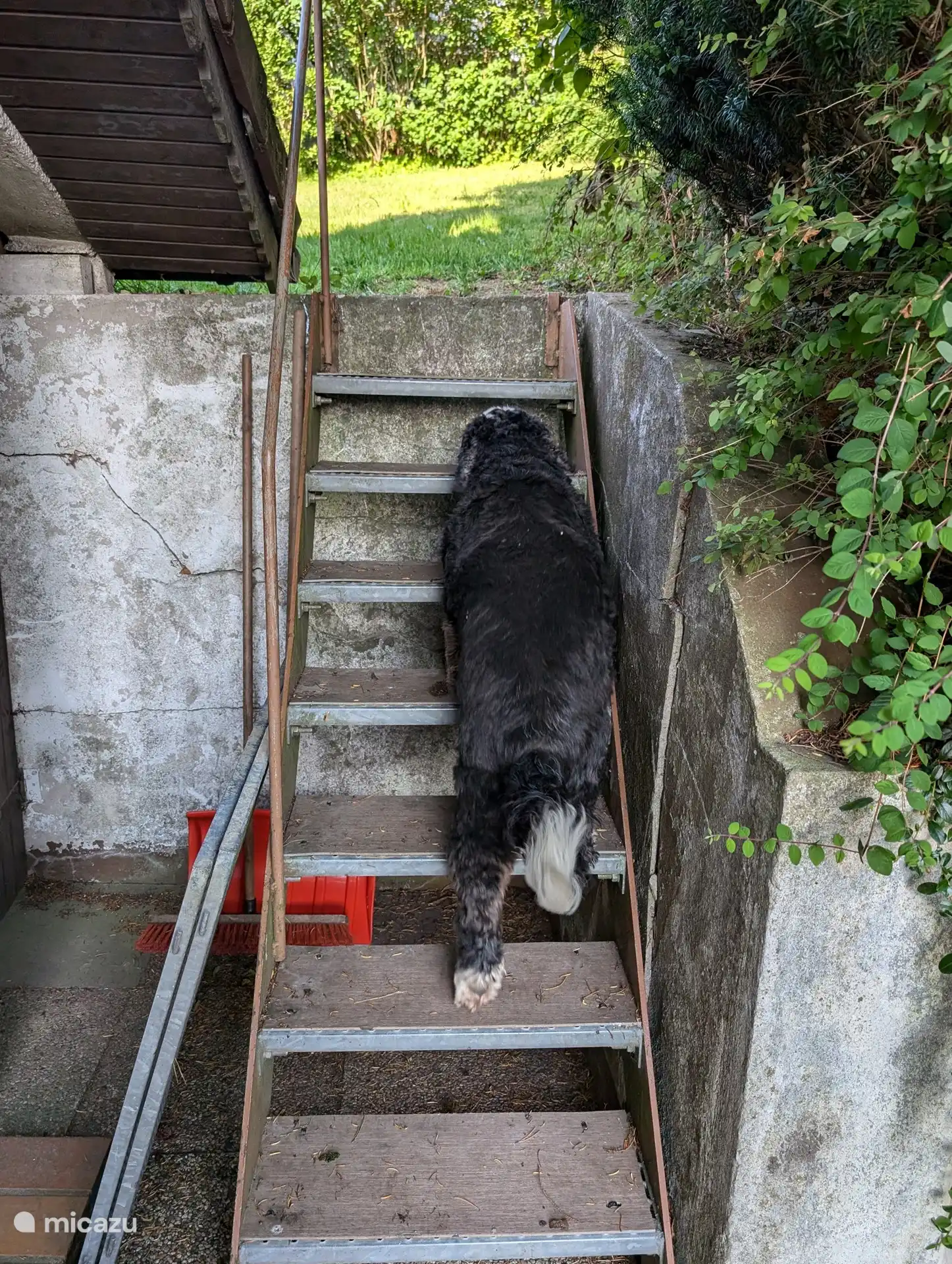 Von der großen Terrasse gelangt man über eine Treppe in den Garten