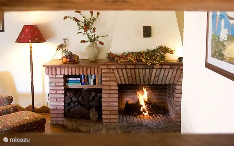 Open Haard met hout inbegrepen