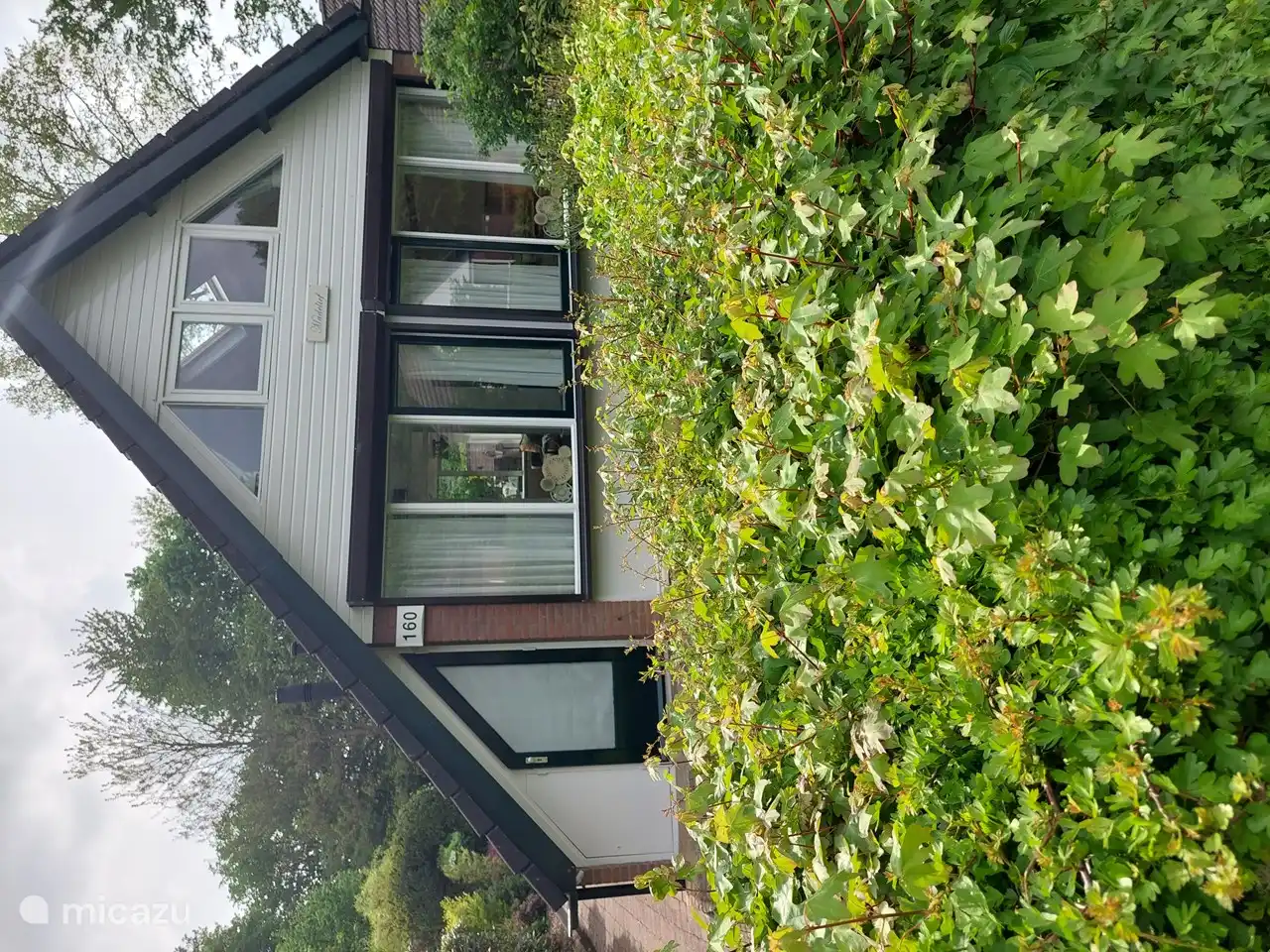 Gänseblümchen in Niederlande, Limburg, Simpelveld - Ferienhaus