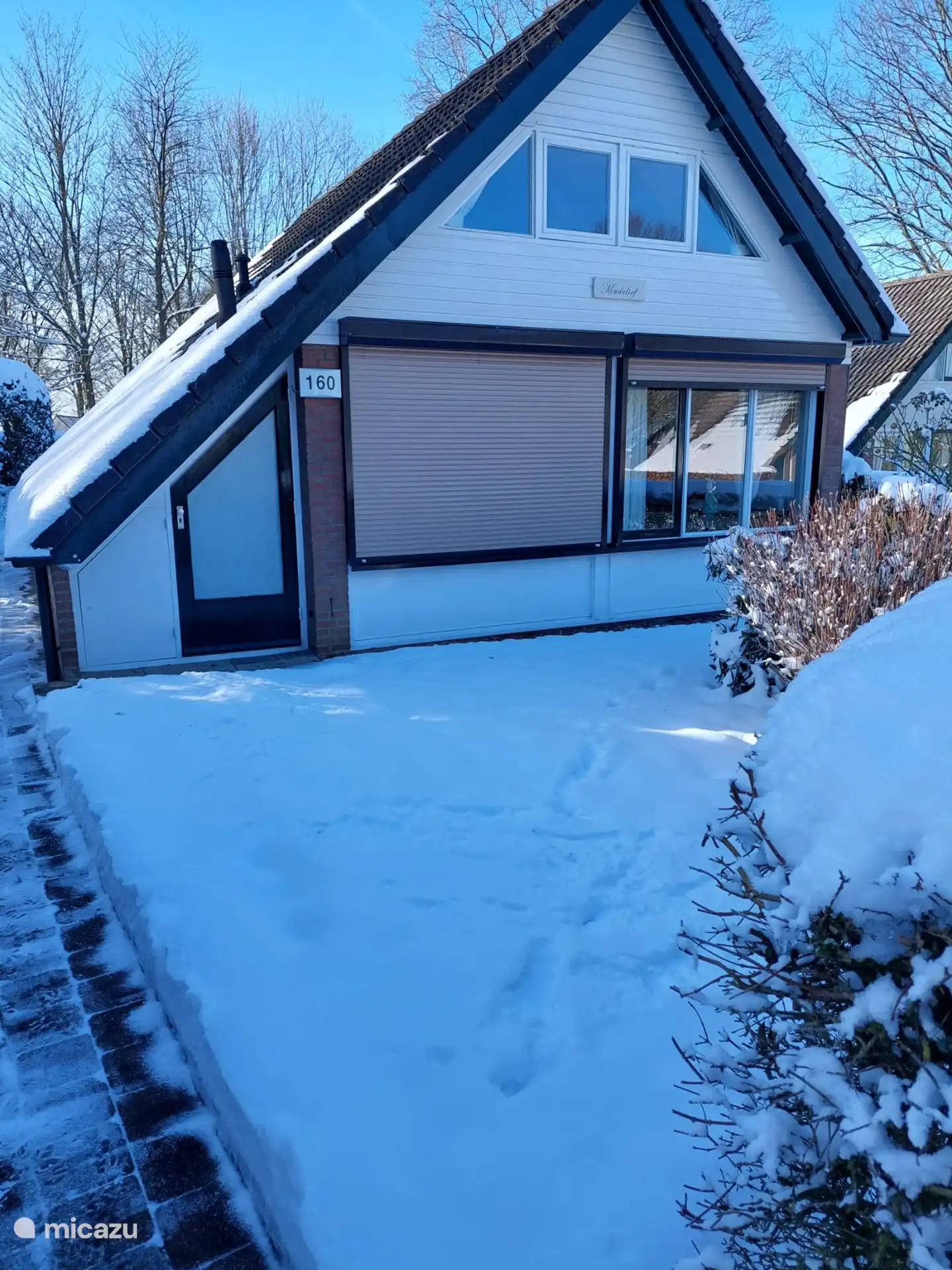 Madelief in de sneeuw