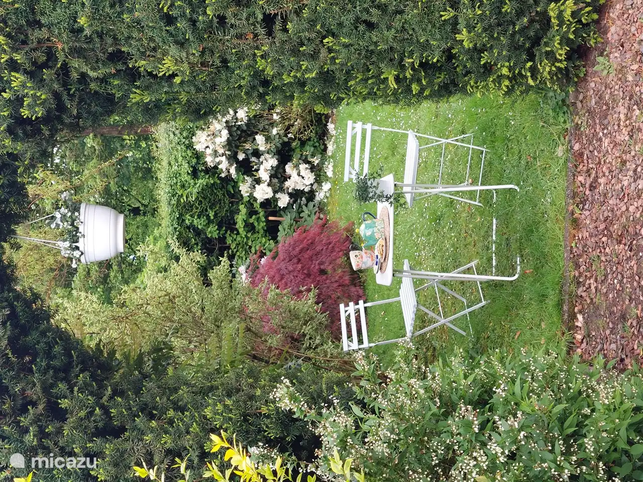 Gänseblümchen in Niederlande, Limburg, Simpelveld - Ferienhaus