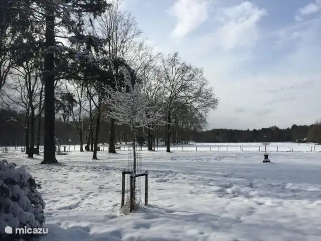 Finca 'De Pauwenhof' en Países Bajos, Güeldres, Vierhouten - casa vacacional