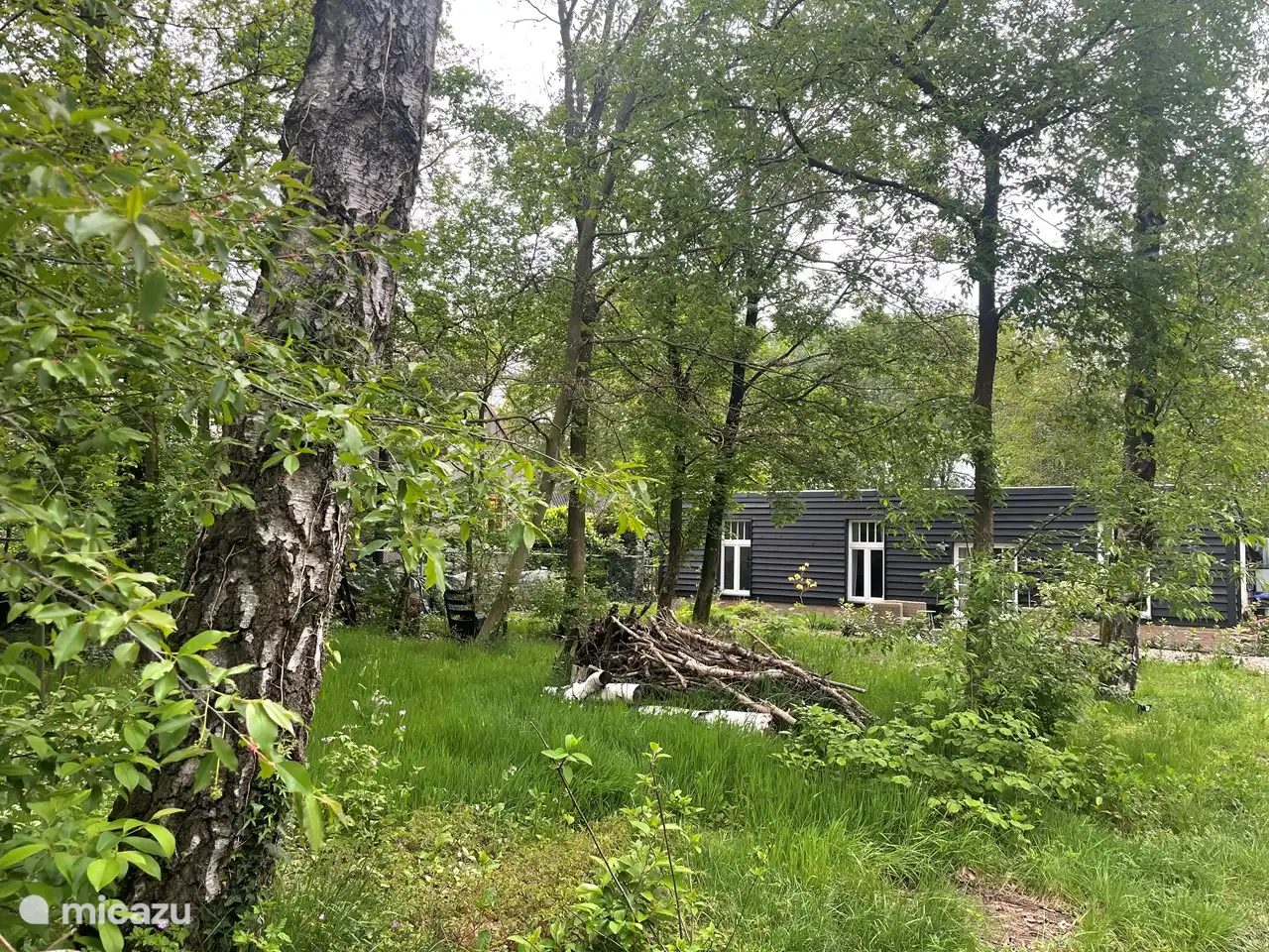 Groene voortuin met bomen. 