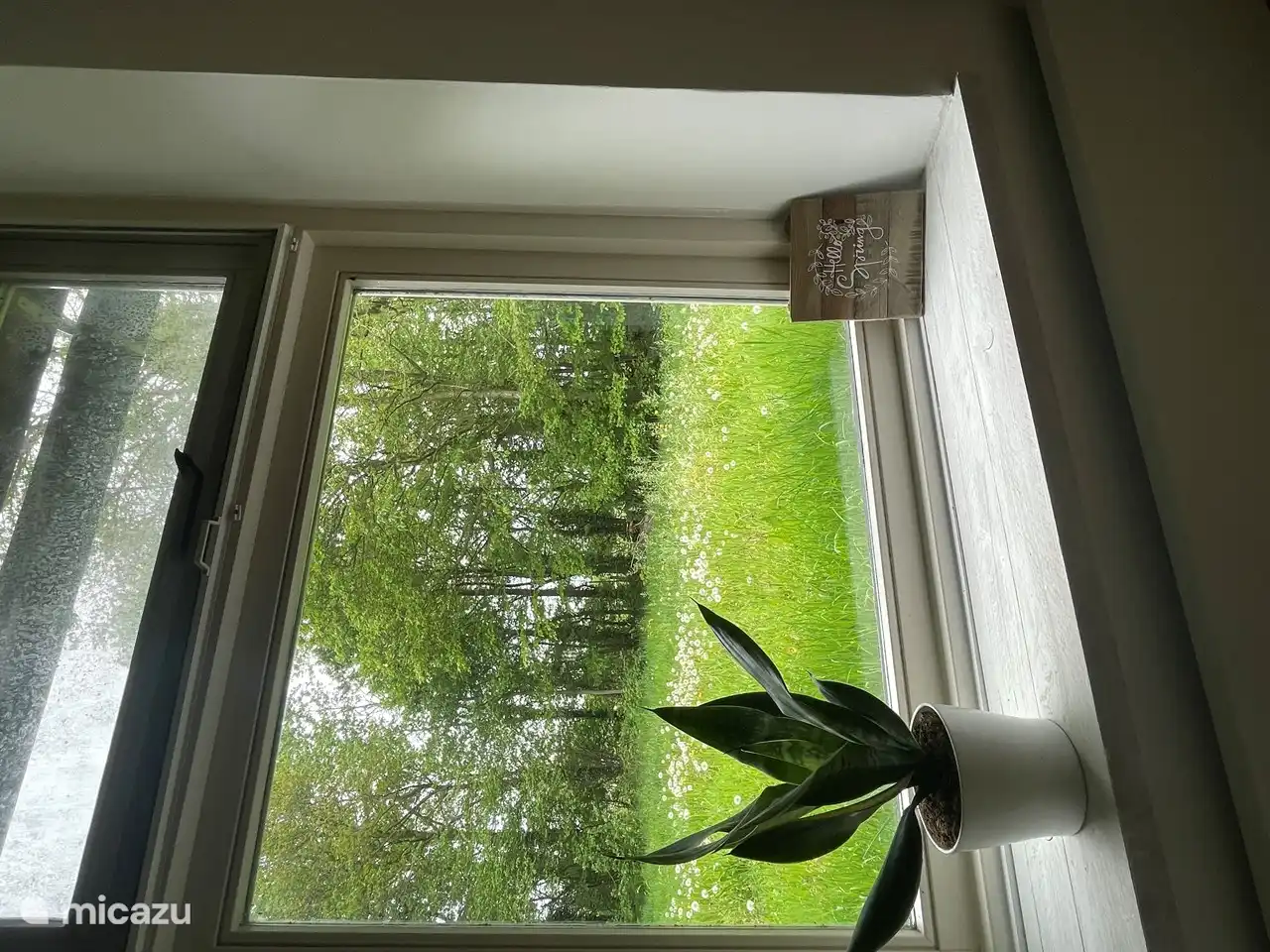 Uitzicht vanuit de tweede slaapkamer. 