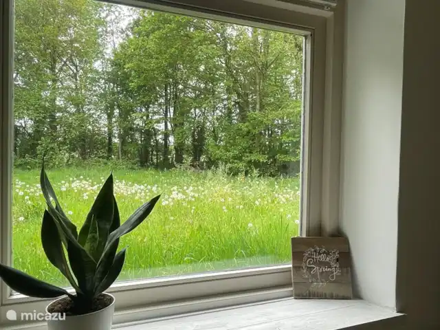 casa vacacional en Países Bajos, Barbante Septentrional, Molenschot – The Lazy Finch Vista desde el segundo dormitorio.
