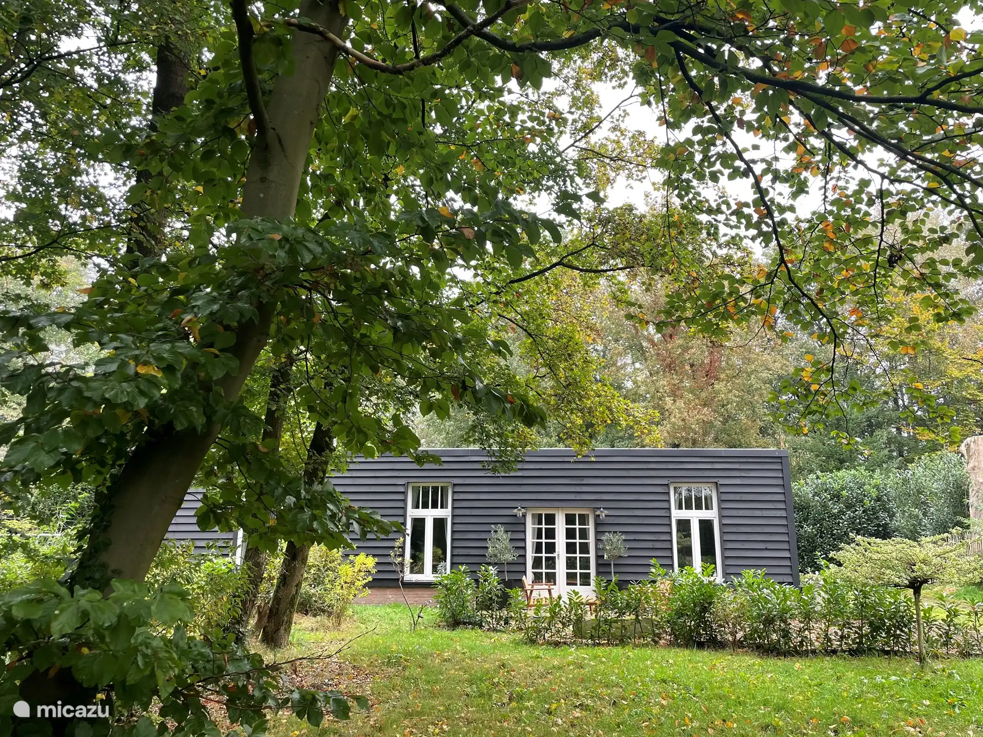 Voortuin met zonneweide en mooie karakteristieke bomen 