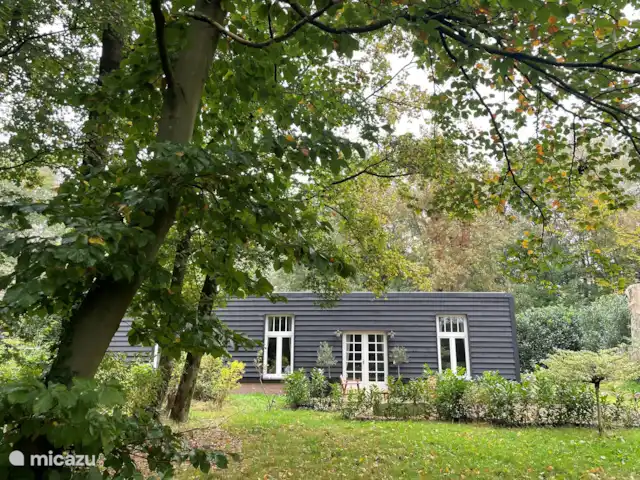 casa vacacional en Países Bajos, Barbante Septentrional, Molenschot – The Lazy Finch Jardín delantero con césped para tomar el sol y hermosos árboles característicos