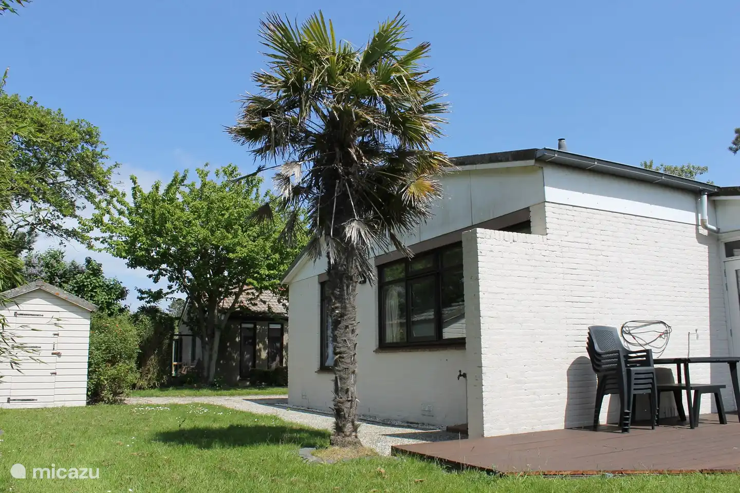 Great tropical garden.