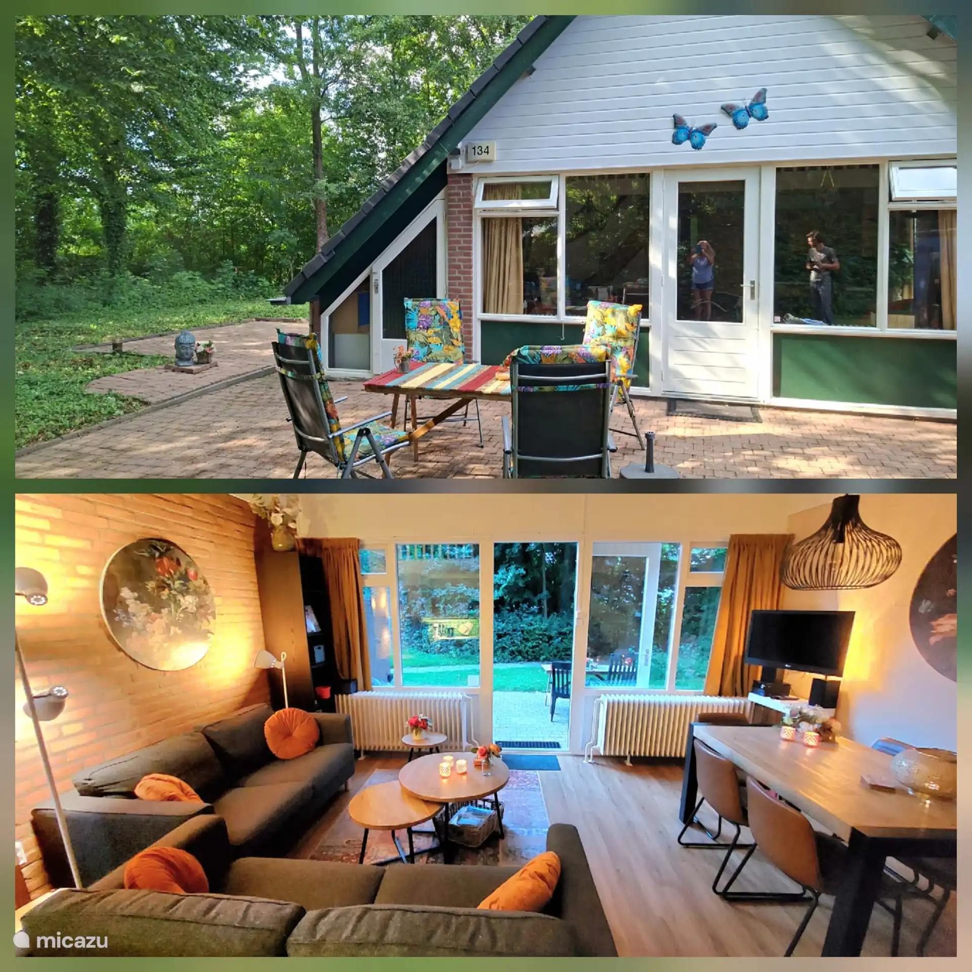 Butterflies in Netherlands, Limburg, Simpelveld - holiday house