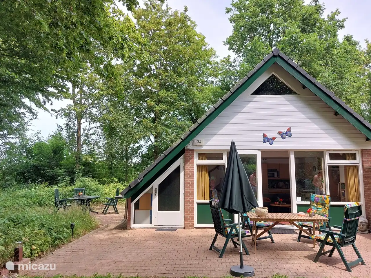 Butterflies in Netherlands, Limburg, Simpelveld - holiday house