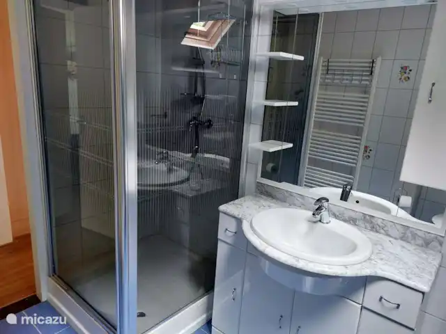 Papillons | Pays-Bas, Limbourg, Simpelveld - maison de vacances Salle de bain avec lavabo, douche, WC et machine à laver