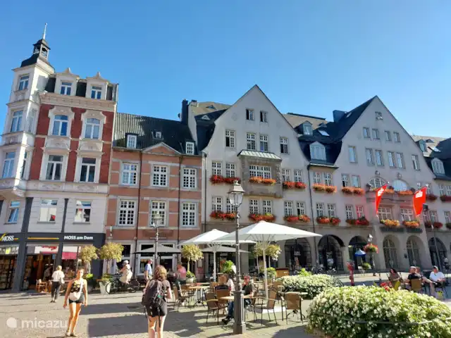 Papillons | Pays-Bas, Limbourg, Simpelveld - maison de vacances Place d’ambiance à Aix-la-Chapelle