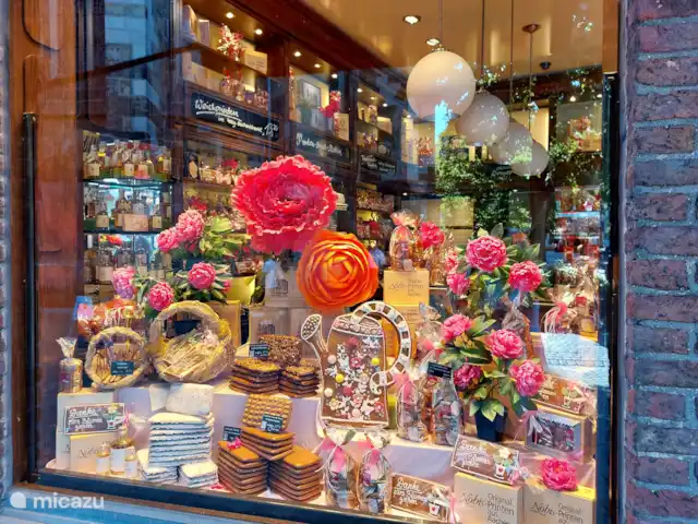Papillons | Pays-Bas, Limbourg, Simpelveld - maison de vacances Aix-la-Chapelle, de belles vitrines dans la vieille ville