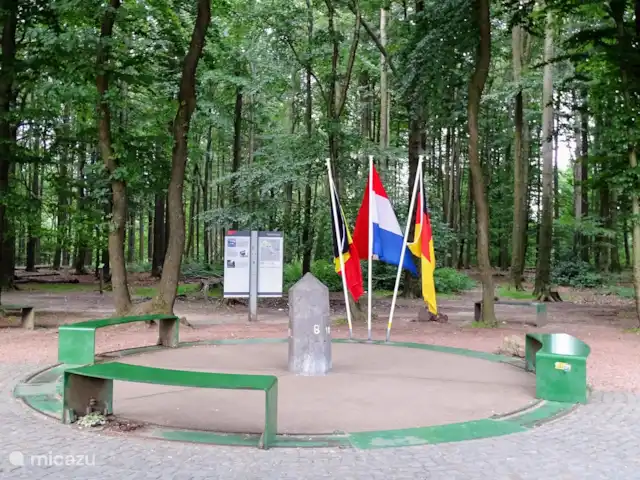 Papillons | Pays-Bas, Limbourg, Simpelveld - maison de vacances Le Drielandenpunt : visitez également la tour avec une belle vue ou promenez-vous dans le labyrinthe