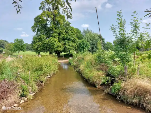 Papillons | Pays-Bas, Limbourg, Simpelveld - maison de vacances Une nature magnifique dans toute la région ; photo prise à Vijlen