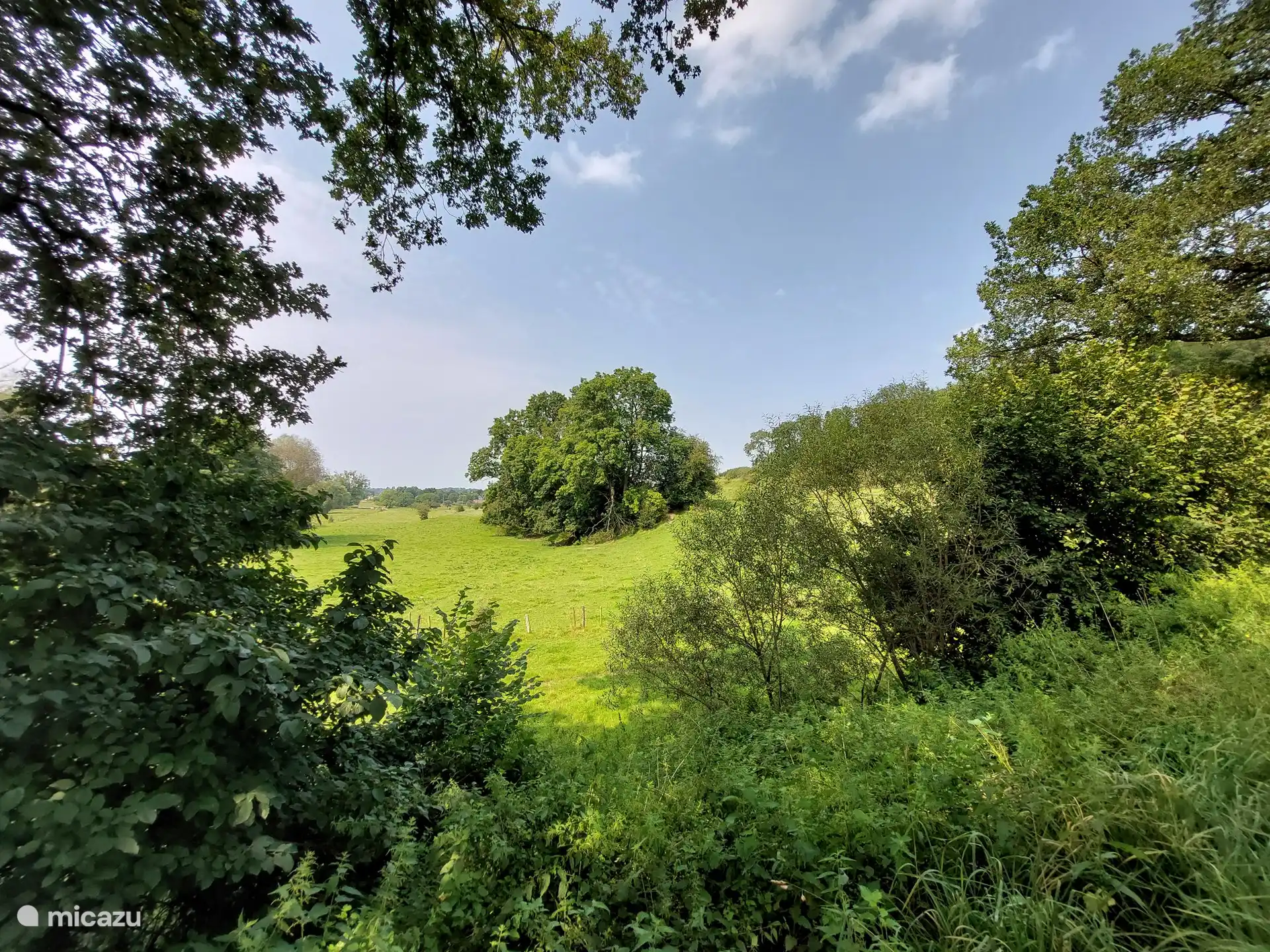 Beautiful nature in the region, including near Vijlen