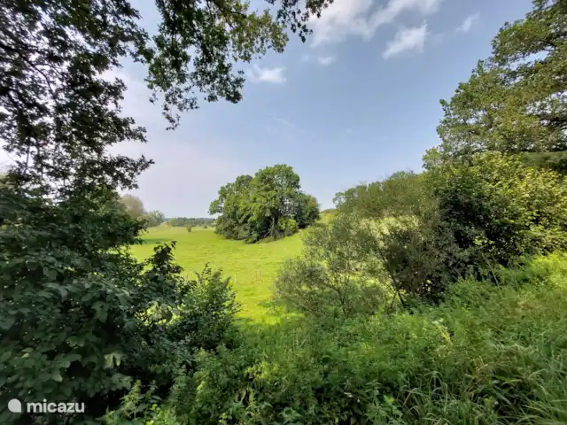 Papillons | Pays-Bas, Limbourg, Simpelveld - maison de vacances Une nature magnifique dans la région, y compris près de Vijlen