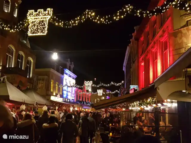 Papillons | Pays-Bas, Limbourg, Simpelveld - maison de vacances Valkenburg, où il est très atmosphérique à partir de la mi-novembre (y compris de nombreuses terrasses extérieures).