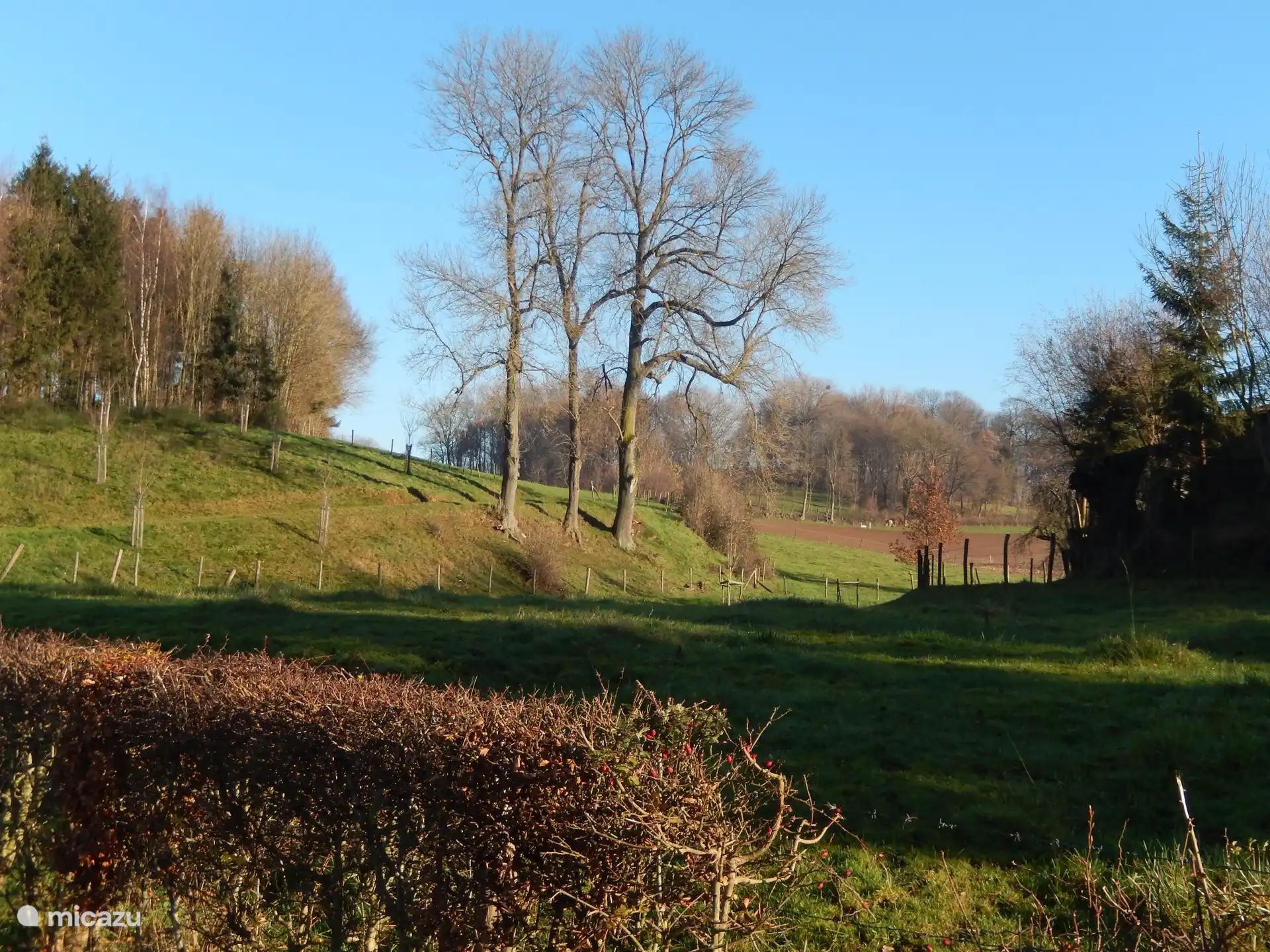 Beautiful nature in South Limburg