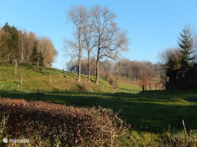 Papillons | Pays-Bas, Limbourg, Simpelveld - maison de vacances Une nature magnifique dans le Limbourg méridional