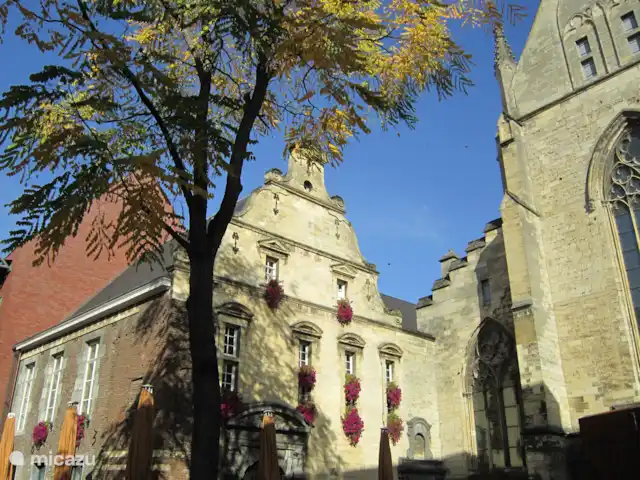 Papillons | Pays-Bas, Limbourg, Simpelveld - maison de vacances Maastricht, un beau centre-ville historique
