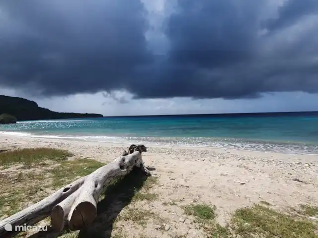 La retraite du gouverneur | Curaçao, Banda Abou (ouest), Fontein - villa L’une des nombreuses plages de Curaçao