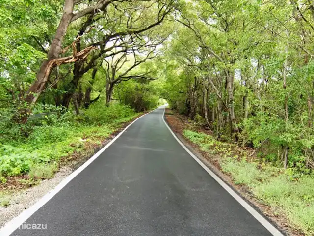 La retraite du gouverneur | Curaçao, Banda Abou (ouest), Fontein - villa Sur le chemin de certaines des plages voisines.