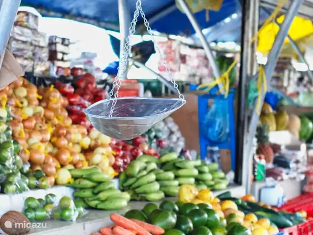 La retraite du gouverneur | Curaçao, Banda Abou (ouest), Fontein - villa L'ancien marché flottant et la grande variété de fruits, légumes, herbes et épices.