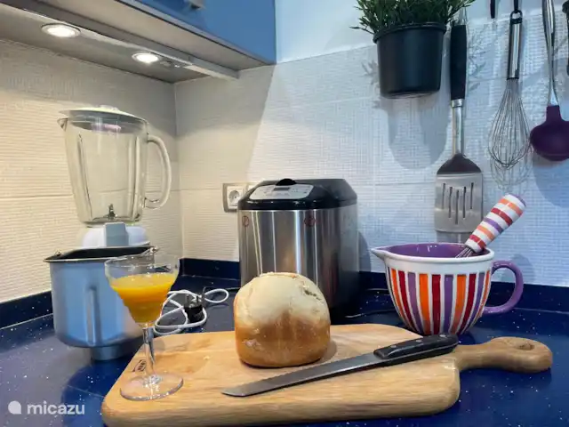 Villa Los Arrendajos, Montefrío, huren in Spanje, Andalusië, Montefrio - villa keukenapparatuur