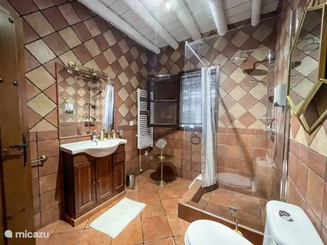 Villa Los Arrendajos, Montefrío, huren in Spanje, Andalusië, Montefrio - villa badkamer 2