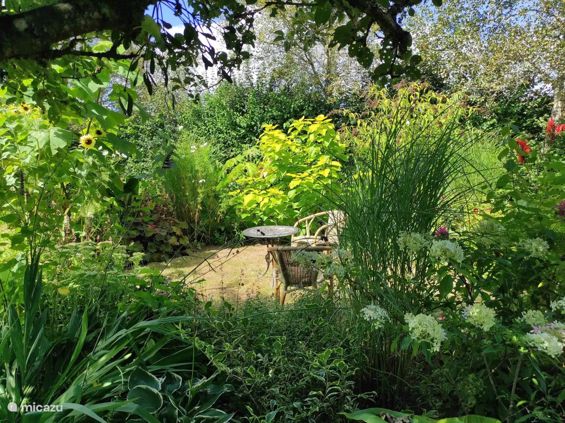 Relax in a private corner of our lovely garden