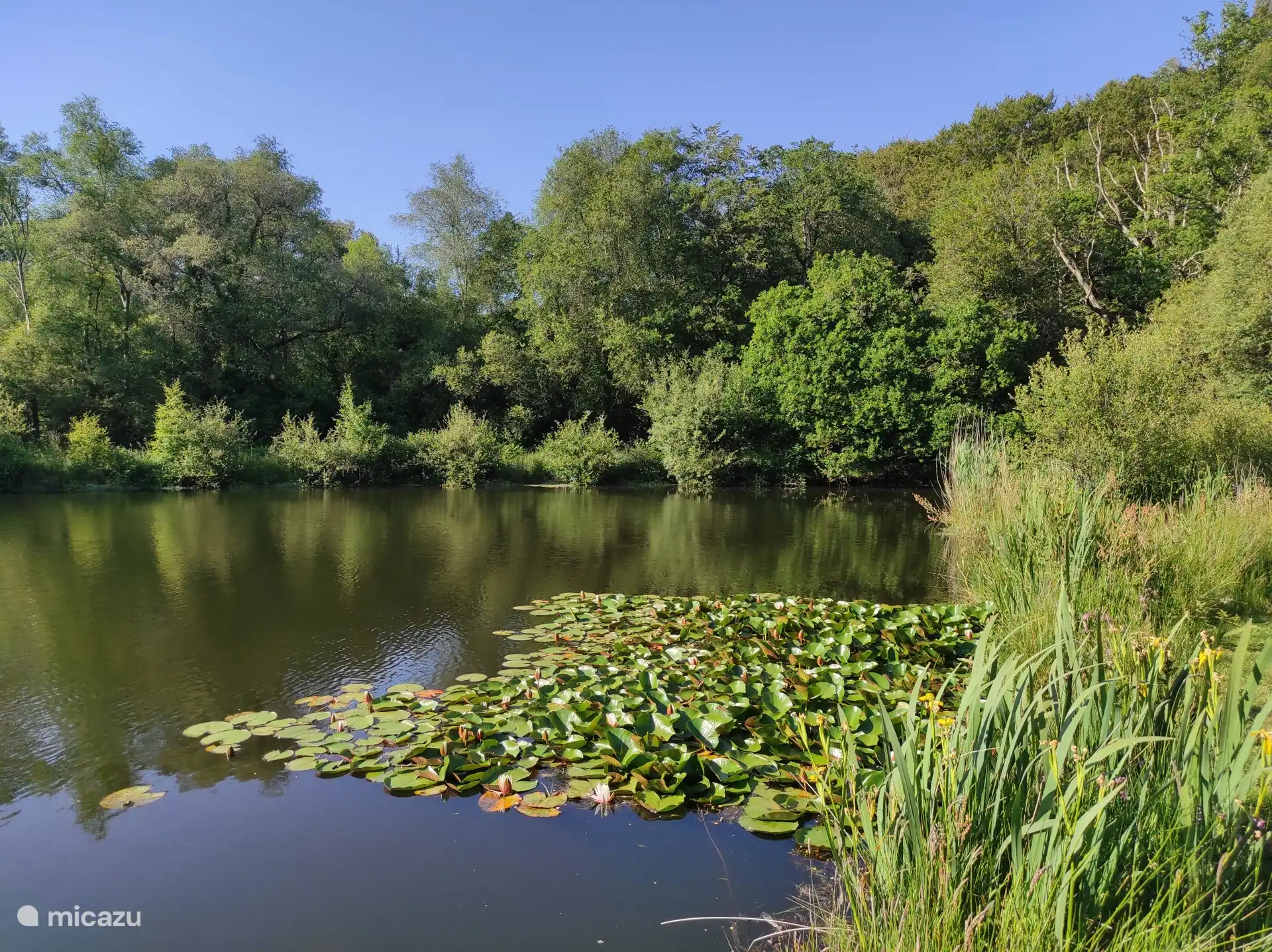Swim or fish in our own private lake