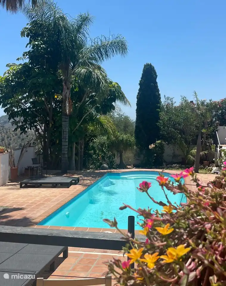 Afternoon dip by the pool